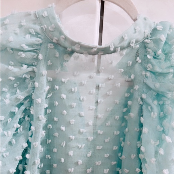 Zara sheer top - Picture 2 of 5